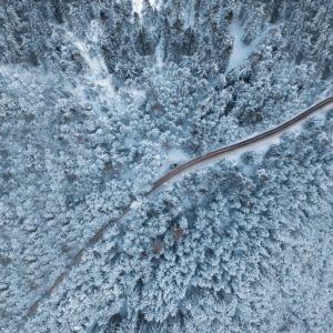bird's-eye view photo of empty way surrounded by pine trees
